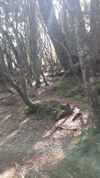 2020.03.08塔曼山872668