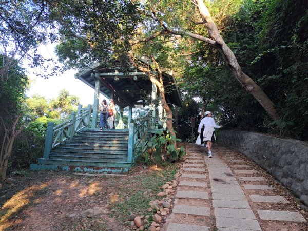 新竹鳳崎落日，司馬庫斯神木群，李崠山步道3131063