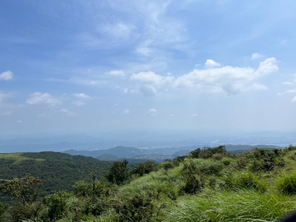 頂山-石梯嶺步道2267861