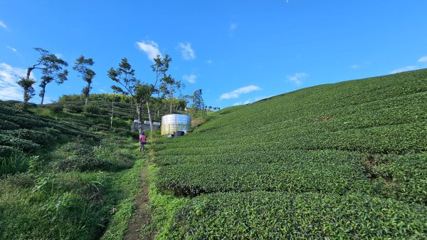 241122-慢走溪頭六連峰（大崙頭山、貓冬望山、民眾坪山、樟空崙山、志騰山、竹崙山）。美美兔沒在怕2654752