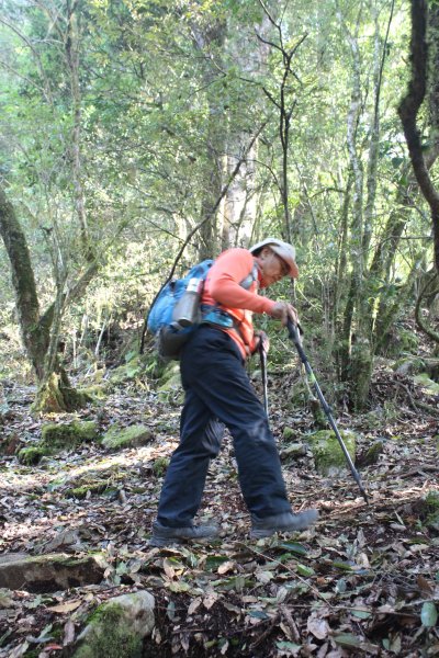 20230403高雄小關山2101534