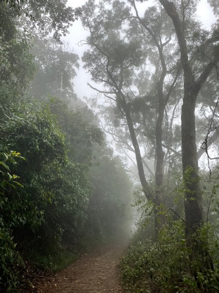 小百岳(73)-尾寮山-202212182052904