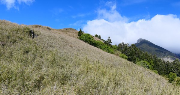 190518-雪山主東峰1650228