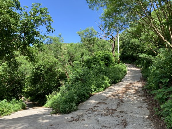 20250621屏東巴士墨山-草埔後山2821417