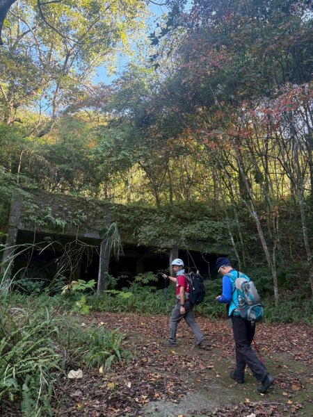 南庄鵝公髻山東河線2970573