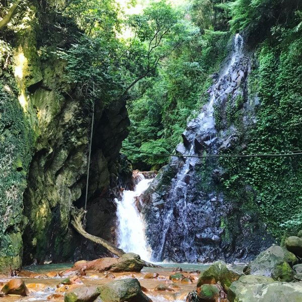 天母水管路步道 - 翠峰瀑布（來回 2 小時，3KM）1491252