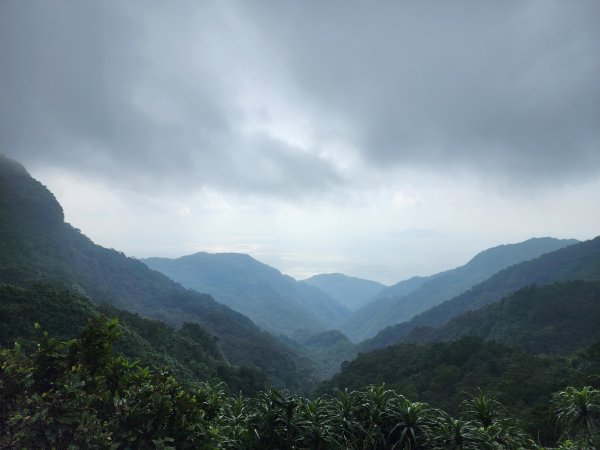 小百岳No.82⛰灣坑頭山3003069