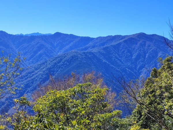 油羅山-新竹縣五峰鄉2426630