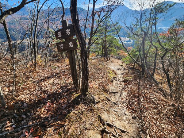 20251123秘境車站峠駅與垂水遺跡2957774