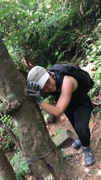 攀繩登山步道｜三峽五寮尖 06261011198