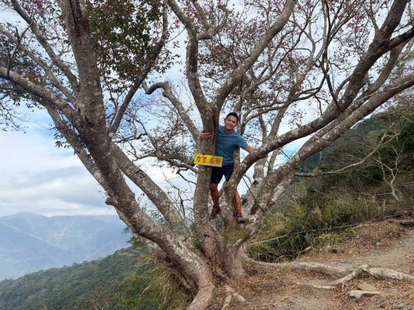 力里山【以產業道路為中央伍 散開】3000046
