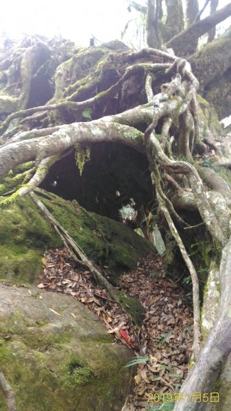 小百岳行~加里山(#34)，苗栗縣山500966