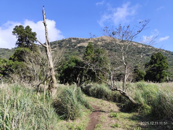 【臺北大縱走 2】【第二回合全程完成證書】鞍部→大屯山步道→大屯山主峰→大屯坪步道→二子坪步道2960405