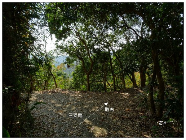 東南坑山(台中-太平)1279619