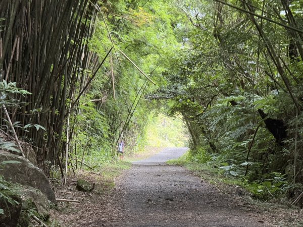 2025/09/15 跑馬古道 鵲子山3041555