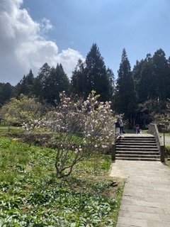 1130306大塔山步道2696772