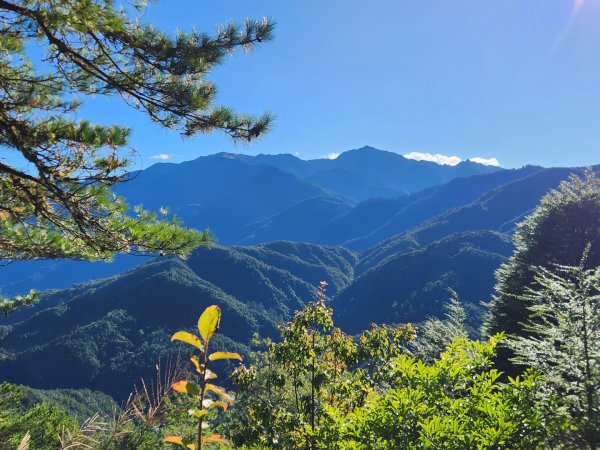 【中級山縱走】羅馬縱走，走進神木的夢幻童話森林世界2943186