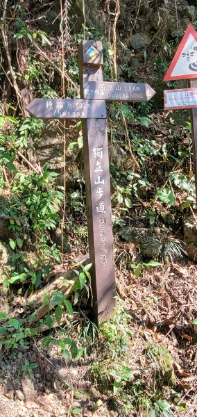 2022-03-05獨立山國家步道、阿拔泉山、觀音石山1631263