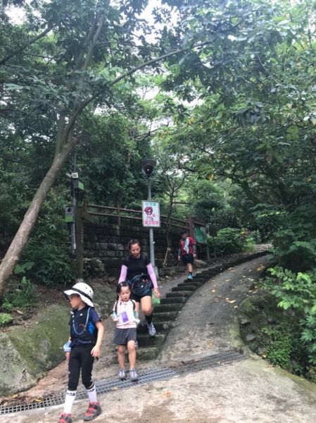 金面山394185