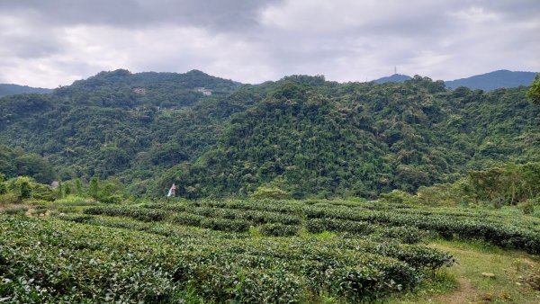 石碇 O 型縱走大崙古道・崩山大崙・華梵大學・熱腸古道・磨石坑山2803266