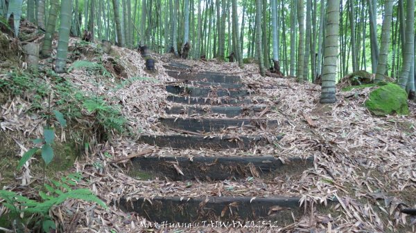 《雲林》望好望角｜石壁山嘉南雲峰步道(中側登山口）202506072805457