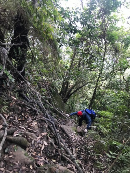 象山第三爬加第一次爬繩4、5號路線！251171