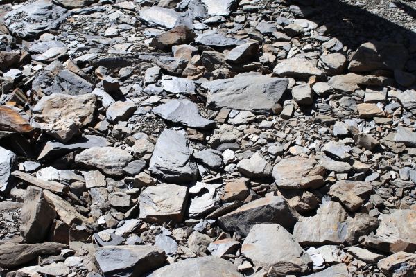 合歡溪步道健行174473