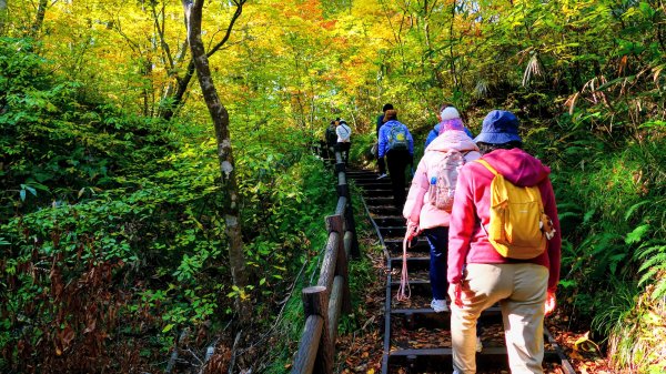 秋田縣白神山地十二湖2929778