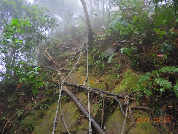 桃園 大溪 金面山、金山面山1315378