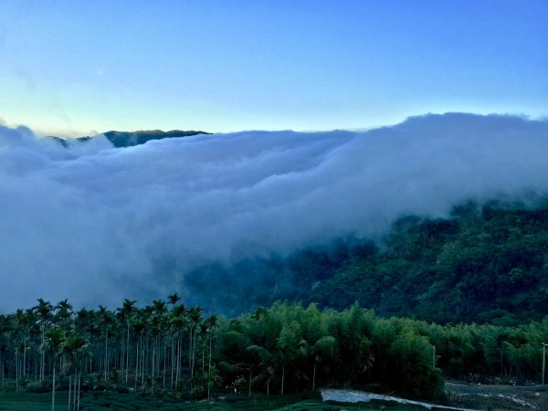 竹林饗宴--瑞太古道登雲戴山順走九芎坪山493545