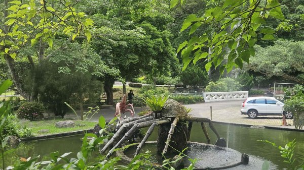 20250621叢雲山-740峰O型2821841