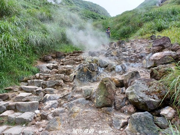 【台北北投】搭捷運公車爬山趣。 小百岳集起來。編號2小百岳~七星山步道1766569