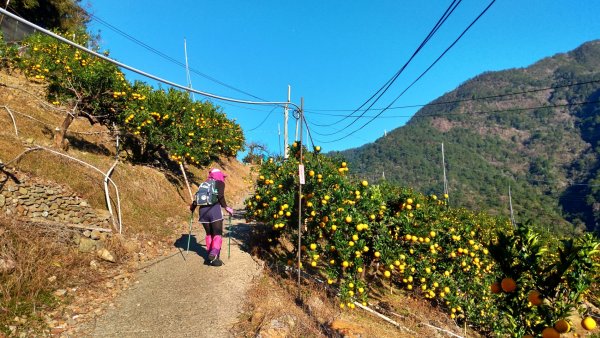 谷關第八雄【阿冷山】798577