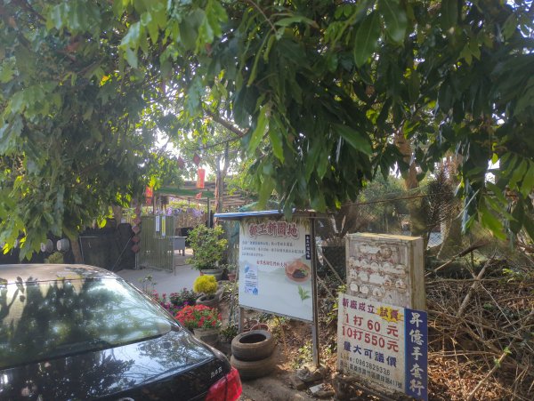 2025.03.24－大崗山2746340