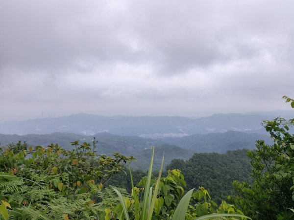 新北市/台北市-二格山3053846