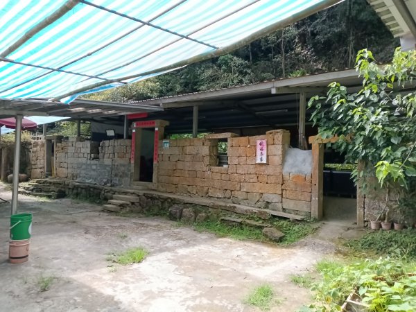 雙溪區大埤古道左線+柑腳山+570峰+大埤格+大埤古道右線O型2828787