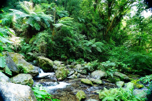 新北 烏來 波露南山3036006