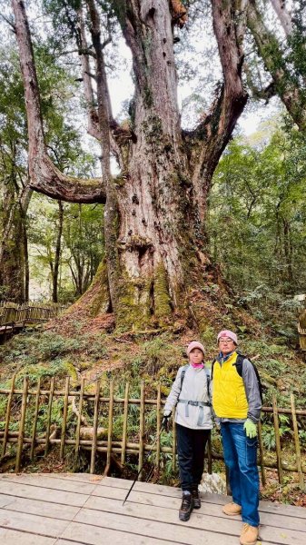 🌈2/7（六）-2/8（日）上帝部落~司馬庫斯神木2日深度之旅✨FB：熊熊趴爬走🌈🌈2995216