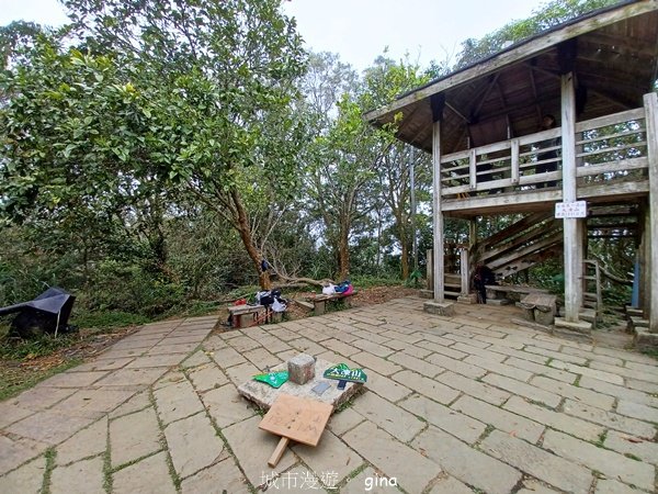 【台南白河】雞籠山+九龍山+大凍山O繞縱走2797155