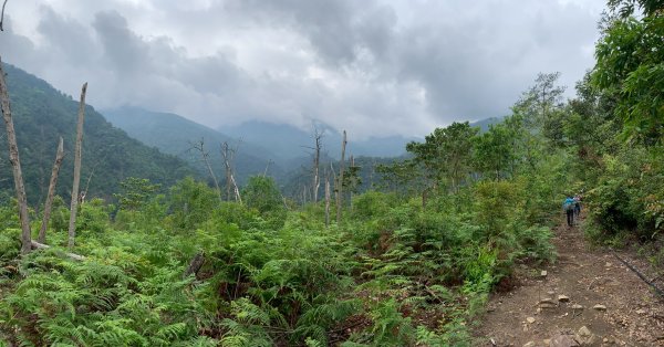 20260509南投小出山3055110