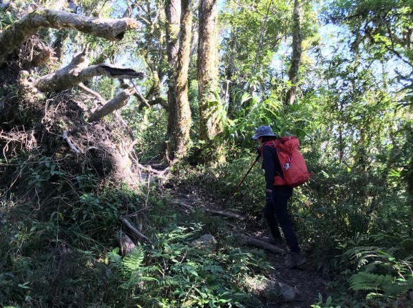 山水雲天都蘭山250853