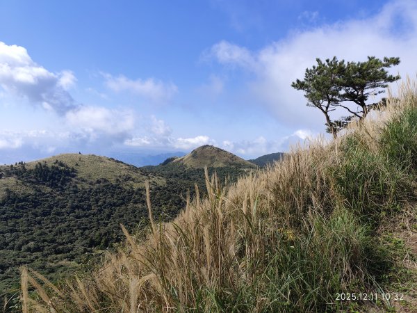 【臺北大縱走 2】【第二回合全程完成證書】鞍部→大屯山步道→大屯山主峰→大屯坪步道→二子坪步道2960394