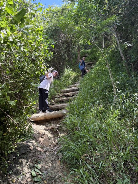 20250816高雄旗尾山2914605