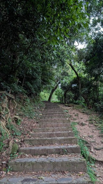 飛鳳山步道3118556