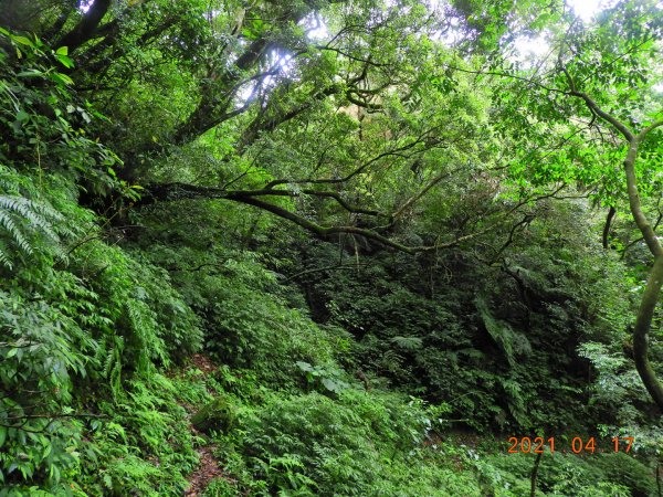 新北 坪林 東坑山、建牌崙山、梳妝樓山1352142