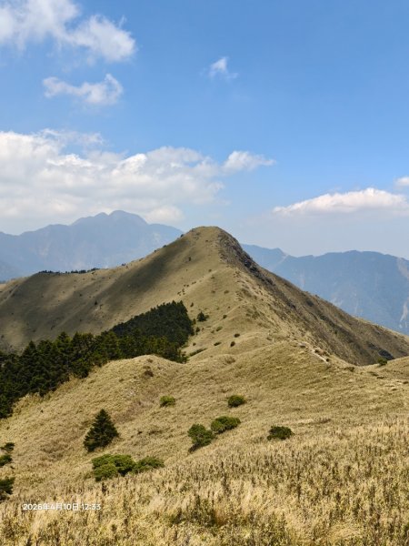 大小劍單日往返3036166