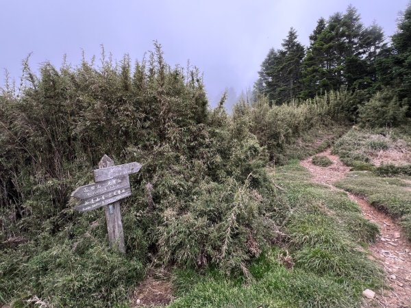 桃山、喀拉業2816823