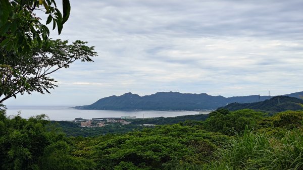 楊廷理古道2814629