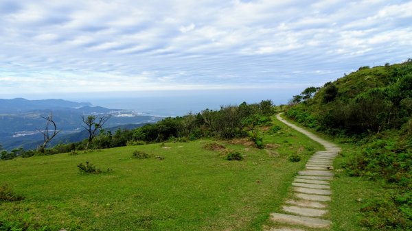 大溪,灣坑頭山,福隆790130