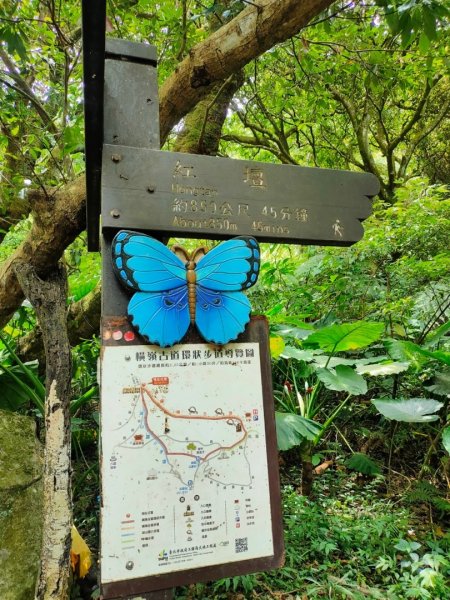 2023/7/13［陽明山賞花賞瀑行］（湖山，橫嶺，半嶺，松溪）2228568